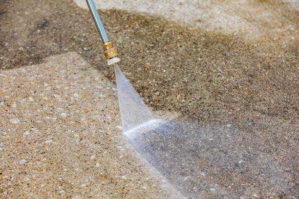 Best Patio and Deck Pressure Washing  in Trainer, PA